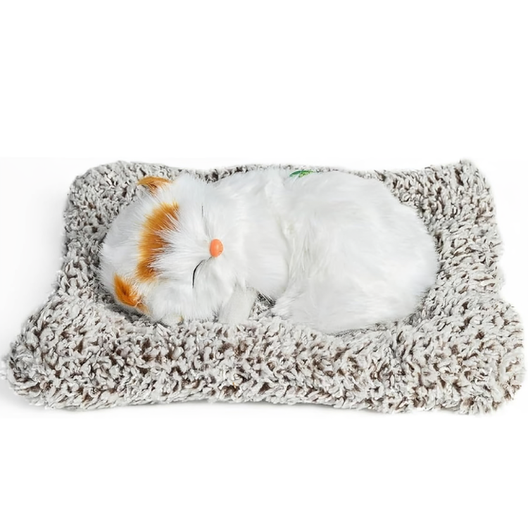 Sleeping cat Orange and white cat - AZ062