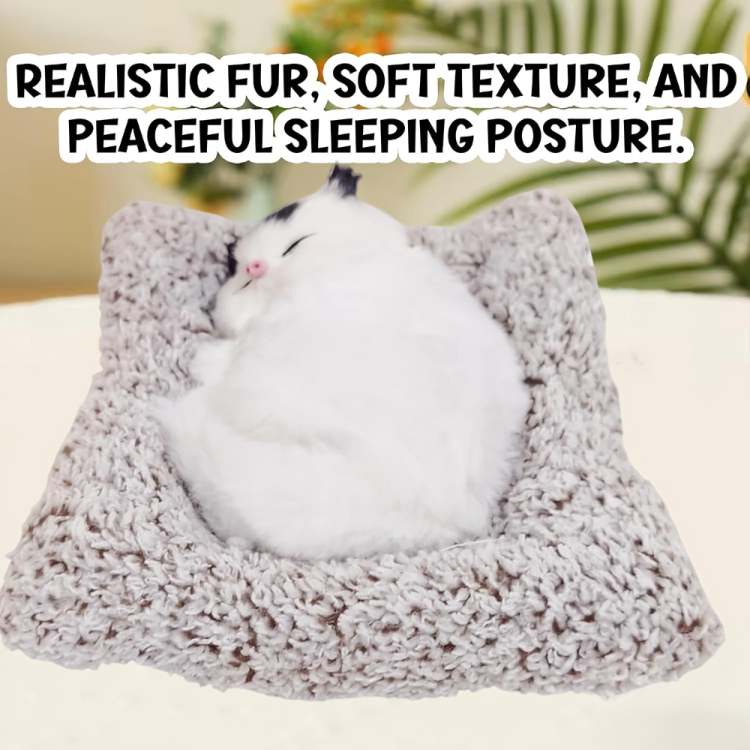 Sleeping cat white cat with Black ears - AZ063 - Image 4