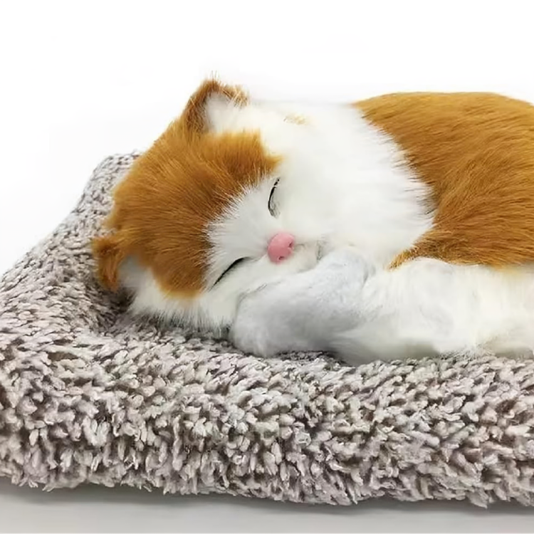 Sleeping cat orange and white cat - AZ065