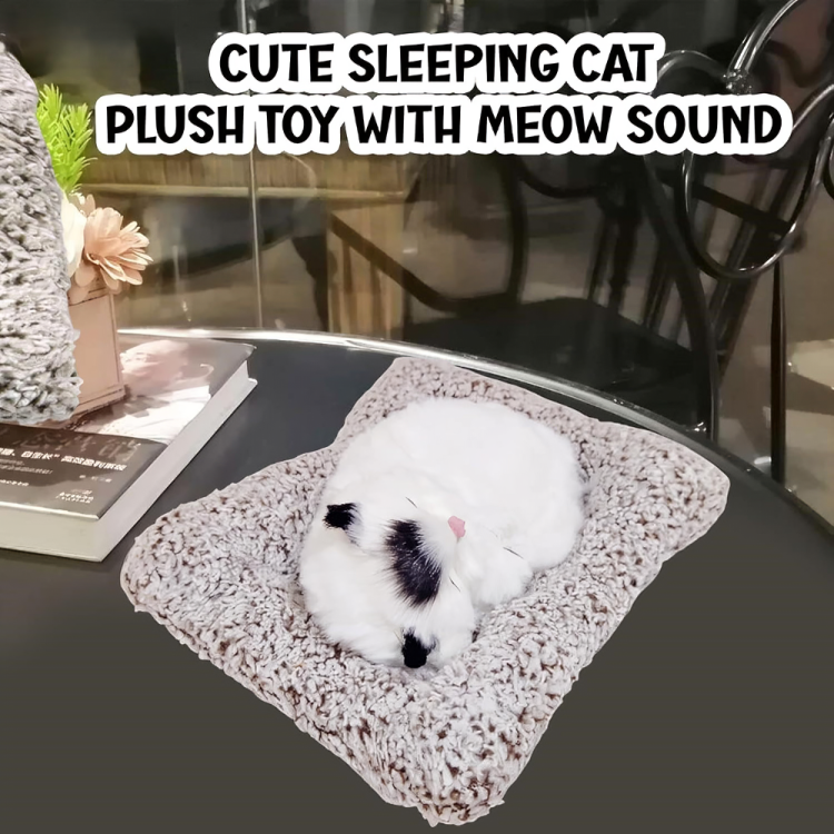 Sleeping cat white cat with Black ears - AZ063 - Image 6